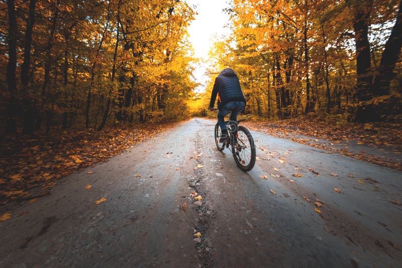 Man on a Bike in the Autumn Forest in the Evening Stock Image - Image ...