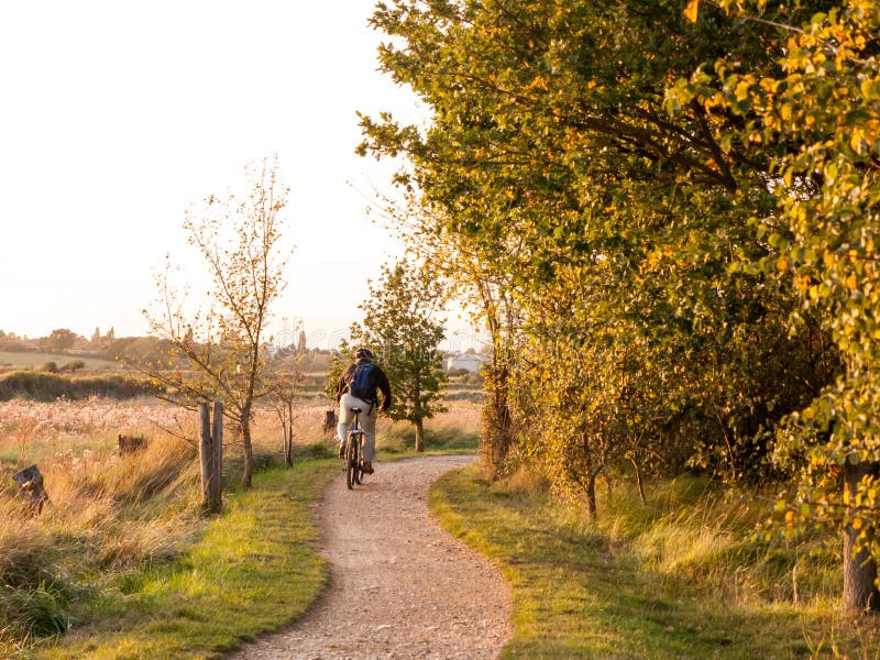 Man on bike on country path scene trees sun light soft autumn ri royalty free stock photo Man on bike on country path scene trees sun light soft autumn ri royalty free stock photo