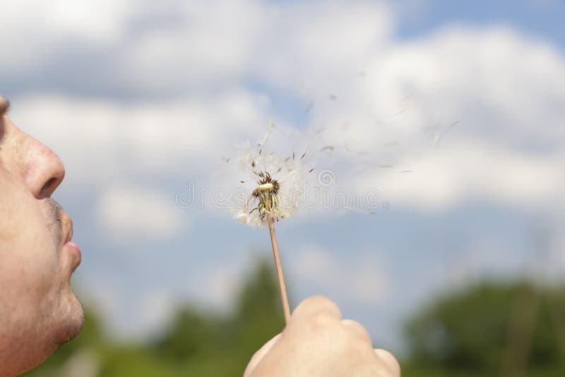 Man blowing dandelion