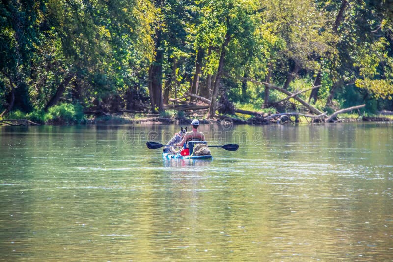 Man and blue heeler dog floating-paddling river together on paddleboard with bokeh forest in background - tranquil scene.