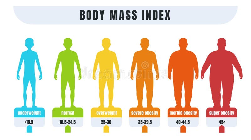 Man BMI. Body mass index infographics for male with normal weight and obesity. Fat and skinny silhouettes. Diagram for