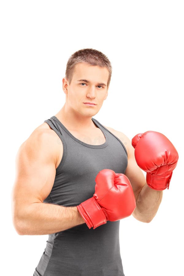 Man with Boxing Gloves Posing on White Background Stock Photo Image
