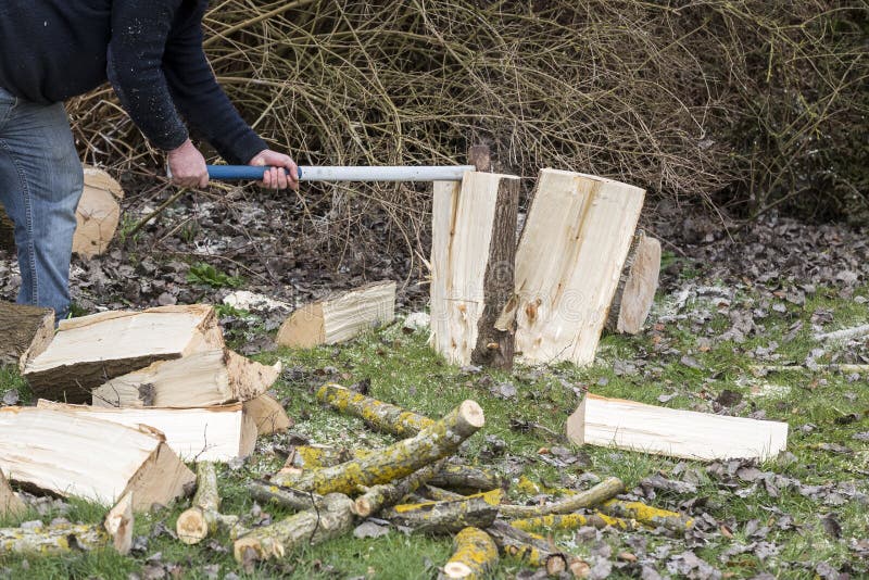 Hand holding a sledgehammer, hit a wedge to split a birch log. Chop log timber stock images, royalty-free photos and pictures