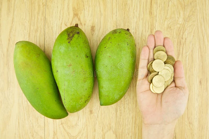 Gold mango stock image. Image of nutrition, food, exotic 42617583