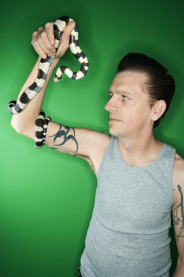 Man and California Kingsnake. royalty free stock images