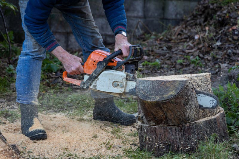 Man Chainsawing through Tree Trunk Stock Image - Image of hard, blade ...