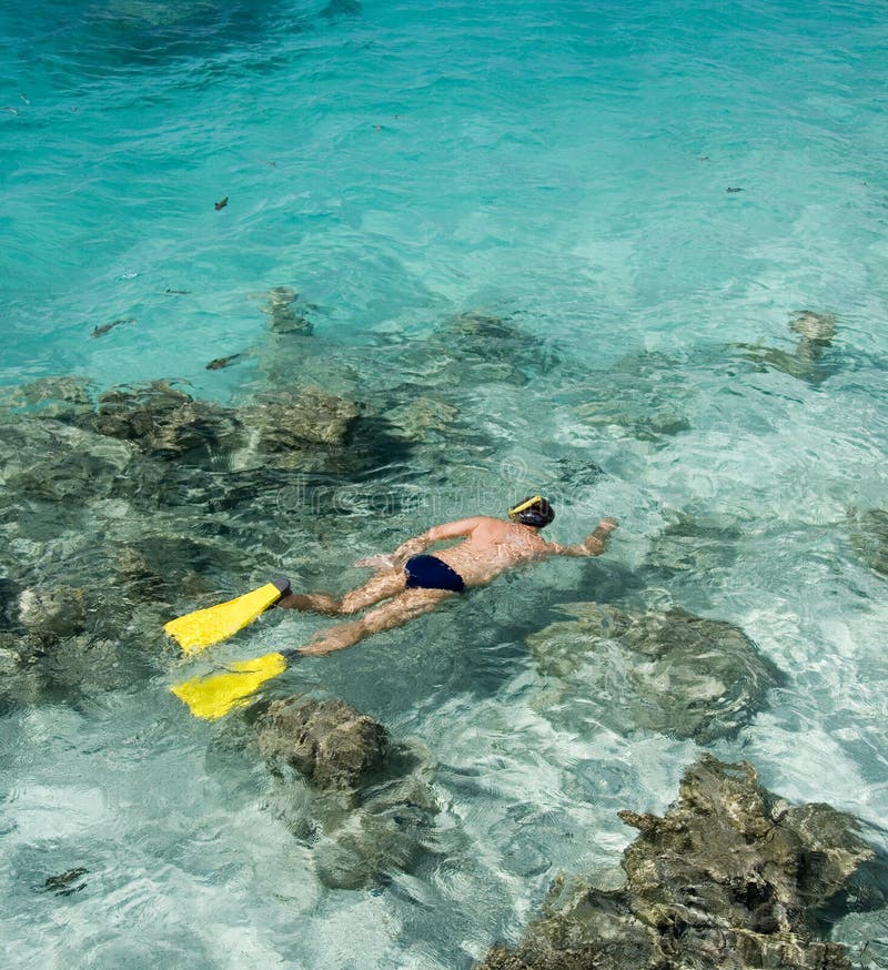 Man che si immerge - cuoco Islands - Pacifico Meridionale fotografia stock libera da diritti Man che si immerge - cuoco Islands - Pacifico Meridionale fotografia stock libera da diritti