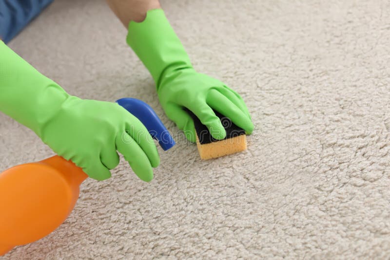Man cleaning carpet stock photo. Image of agent, housework 114511262