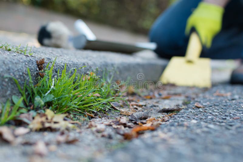 Man is cleaning the gutter royalty free stock images