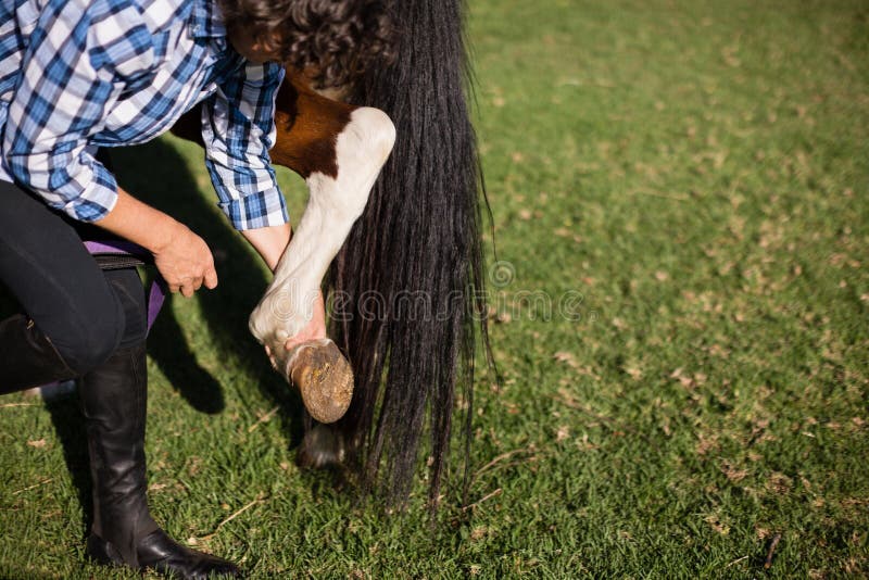 Man cleaning horse hoof stock image. Image of outdoors 97393991