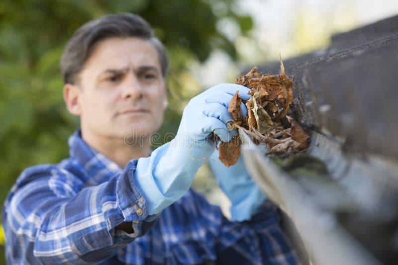Man Clearing Leaves From Guttering Of House royalty free stock images