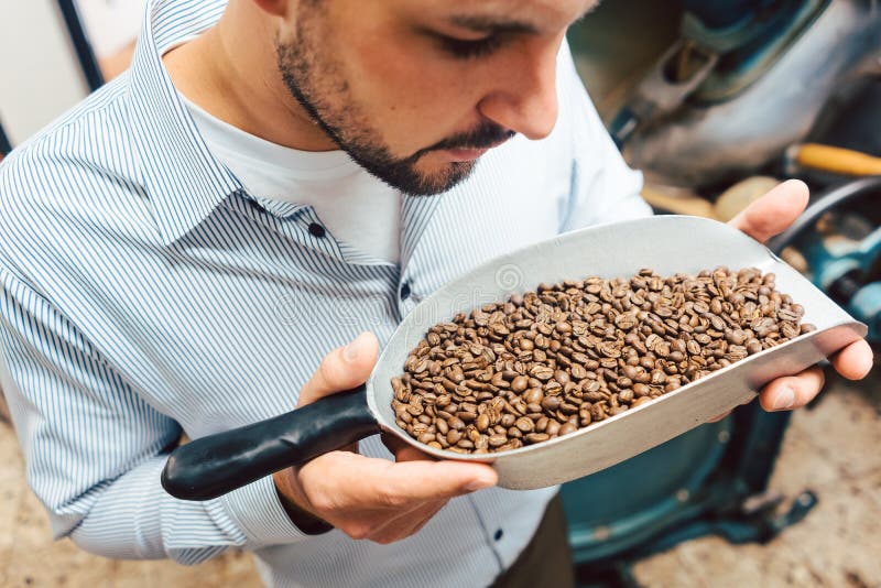 Man in Coffee Roastery with Fresh Beans Stock Photo Image of