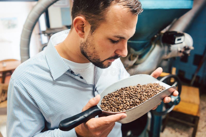 Man in Coffee Roastery with Fresh Beans Stock Photo Image of shovel