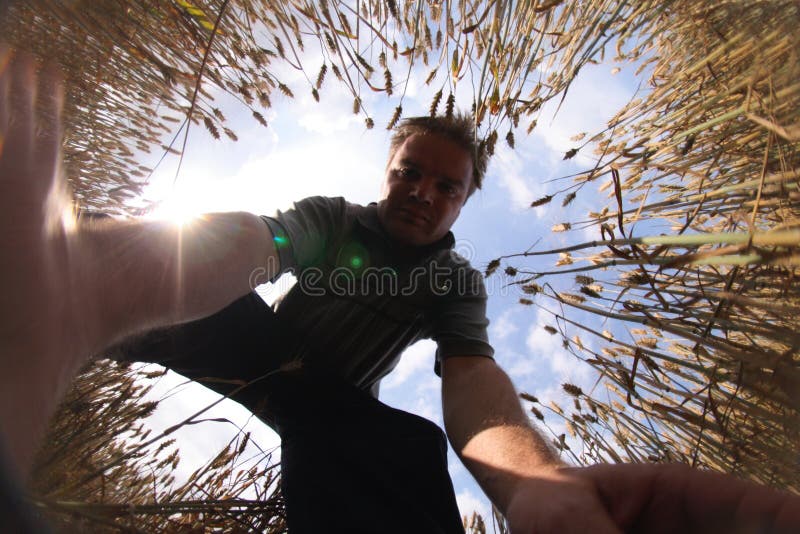 Man and the corn