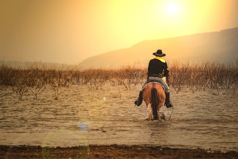 A man in cowboy costume on his horse in a corner against the sun against a background with rivers and mountains