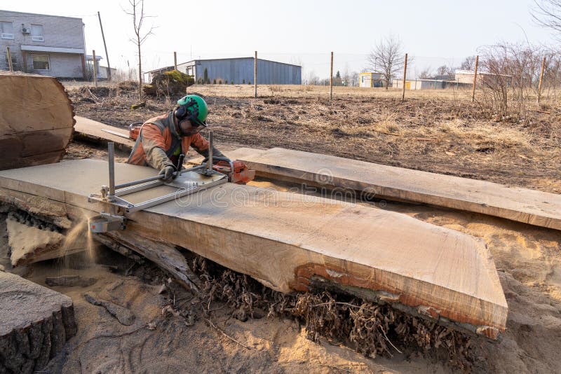 A Man Cuts Boards Using a Mobile Chainsaw Mill Stock Image Image of