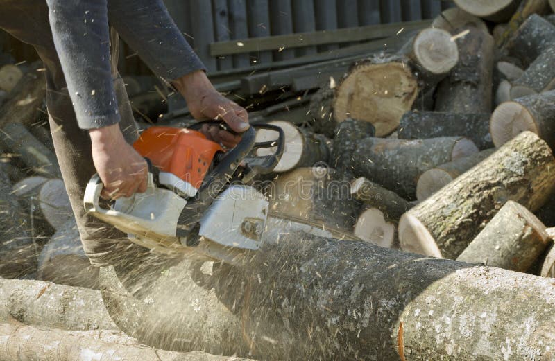 Man cuts a fallen tree.