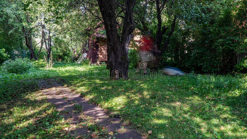 A man cuts grass in a neglected garden,time lapse