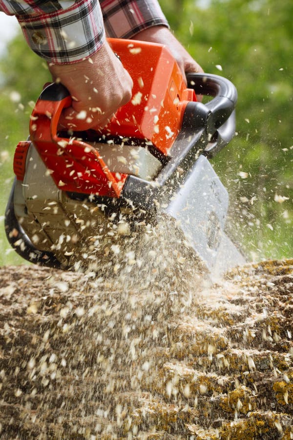 Man cuts a tree.