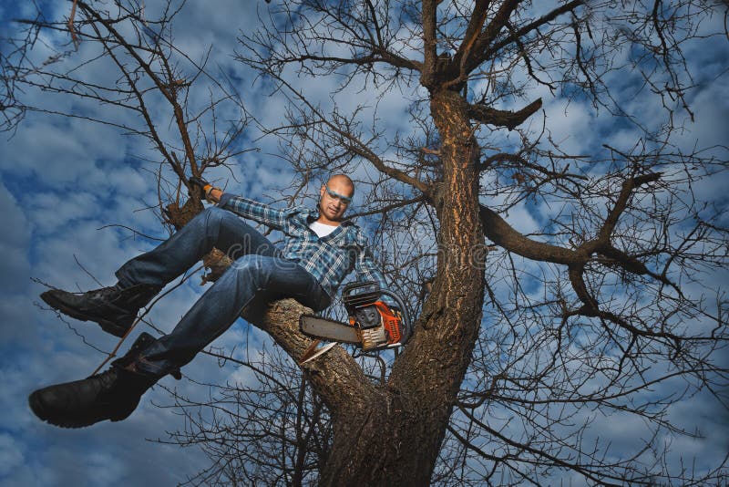 Man cutting a branch stock image. Image of garden, blue - 36844919