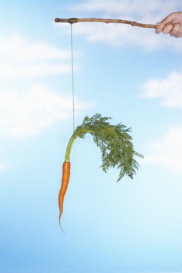 Man Dangling Carrot From Stick