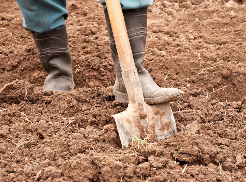 Man dig a shovel stock photography