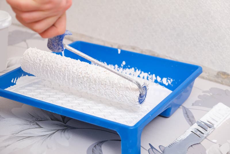 A Man Dips a Velour Roller in White Paint from Tray for Painting
