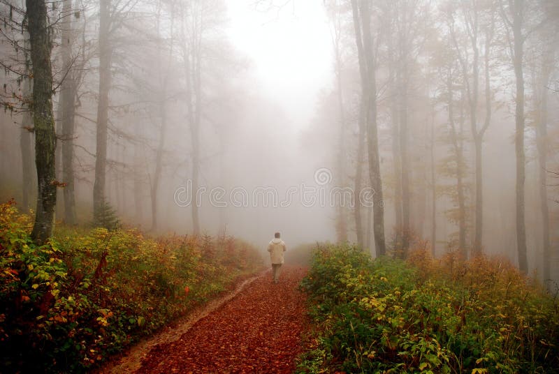 Man disappearing in fogy fores