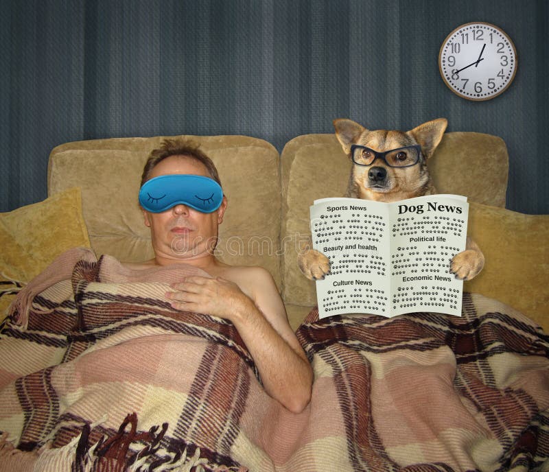 Man and dog with newspaper in bed royalty free stock photography Man and dog with newspaper in bed royalty free stock photography