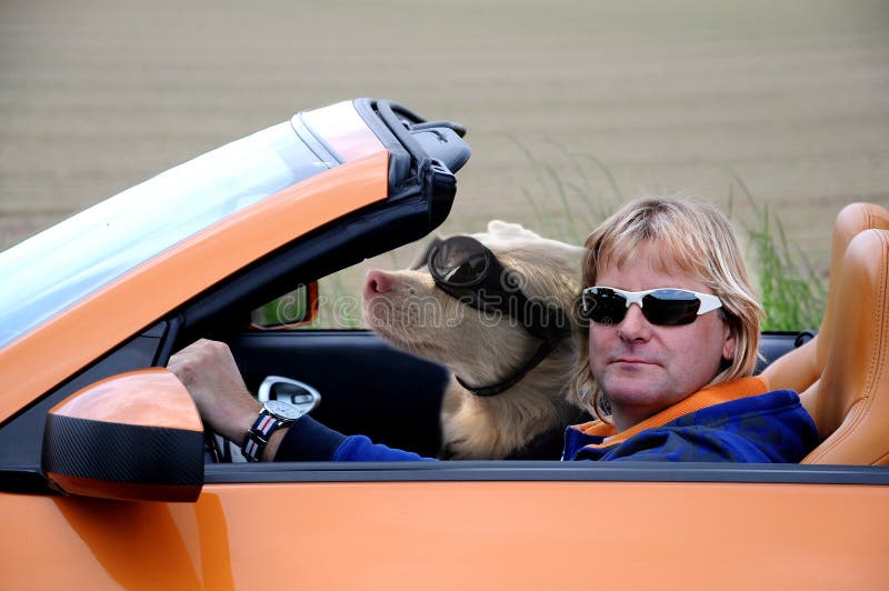 Man and dog riding a sports car stock images Man and dog riding a sports car stock images