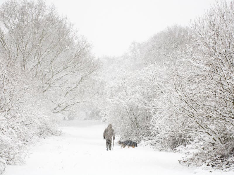 Man and dog in snow stock photo