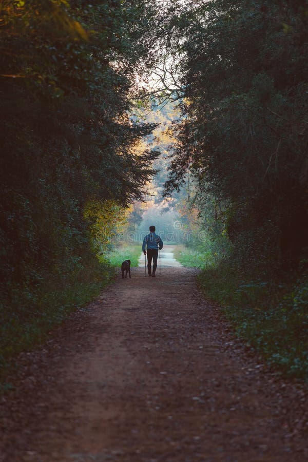 Man and dog walking in a natural tunnel