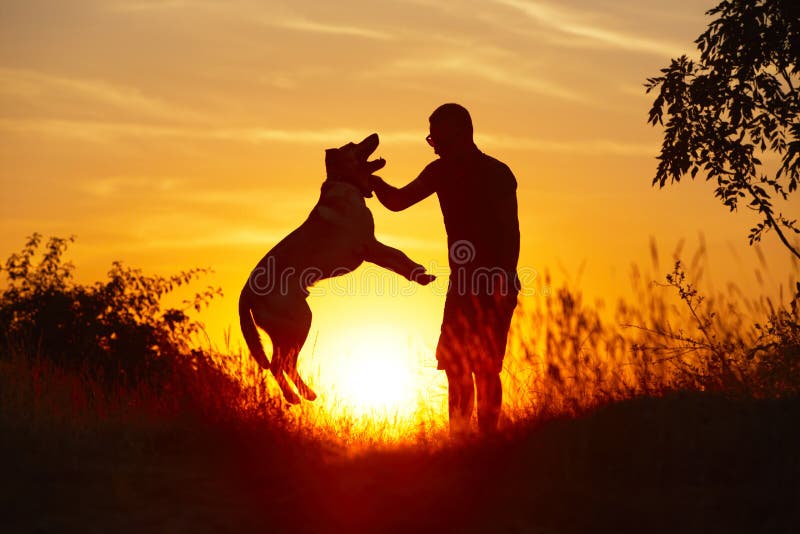 Man with dog stock photo. Image of hike, animal, friendship - 32470204