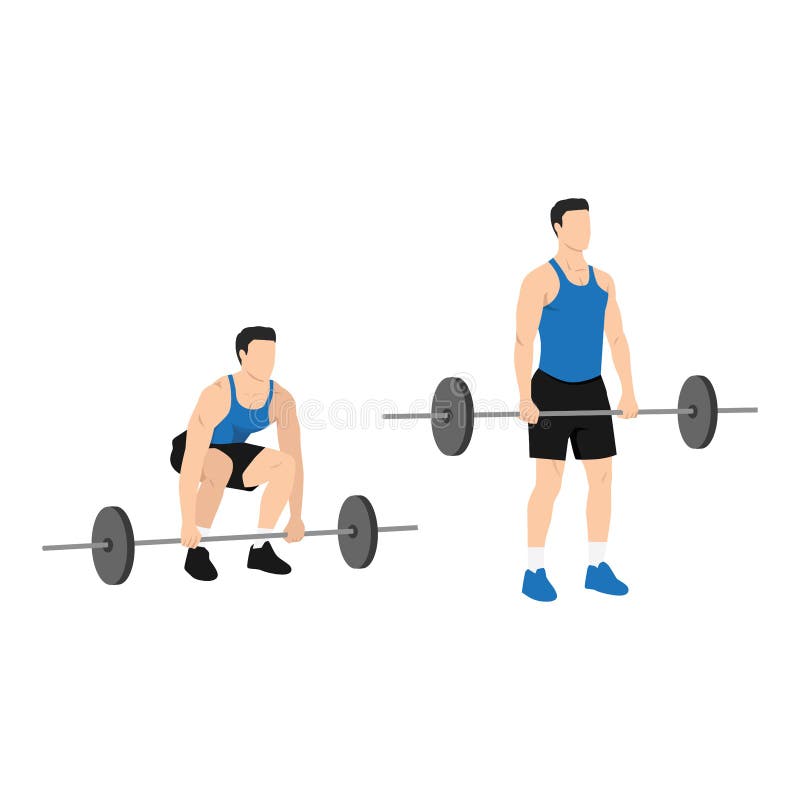 Woman doing Sumo Barbell deadlifts exercise. Flat vector illustration  isolated on white background 6417689 Vector Art at Vecteezy