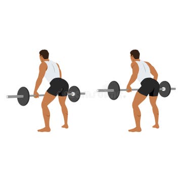 Barbell Bent Over Rows Stock Illustrations – 36 Barbell Bent Over Rows