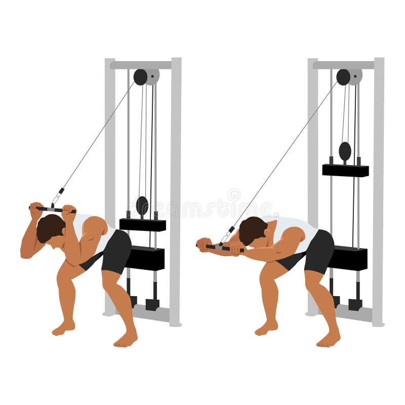 Man doing cable bent over triceps extension exercise royalty free illustration