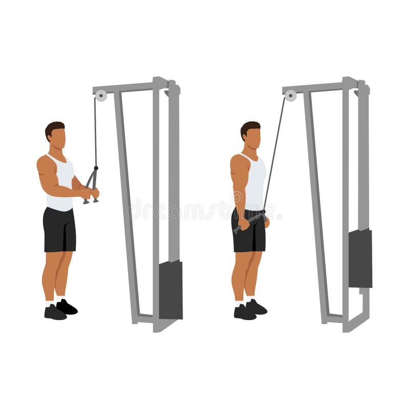 Man doing Cable rope pushdown exercise. Flat vector illustration stock illustration
