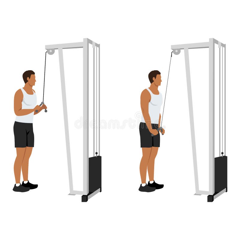 Man doing cable tricep pull down exercise. Flat vector stock illustration
