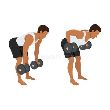 Bent Over Row Dumbbell Stock Illustrations – 63 Bent Over Row Dumbbell