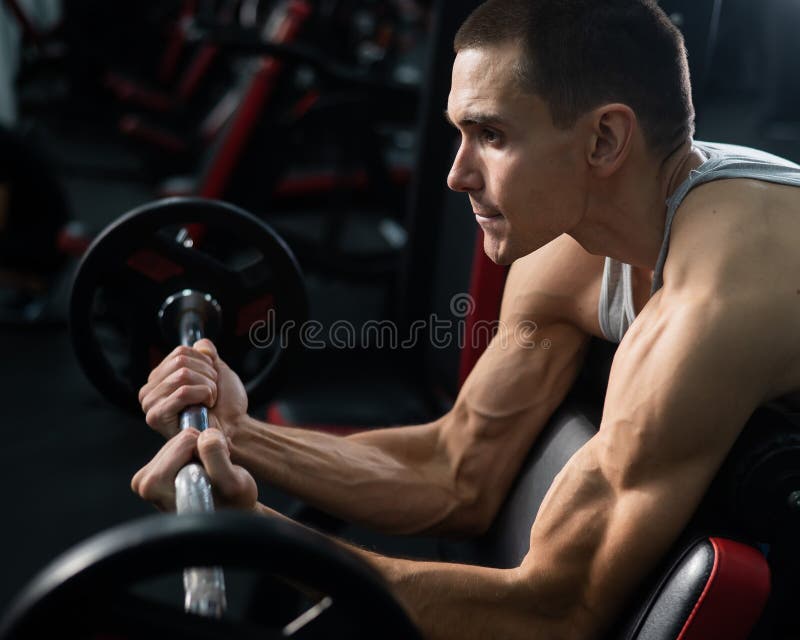 Man Doing EZ Barbell Bicep Exercises on Scott Bench. Stock Photo