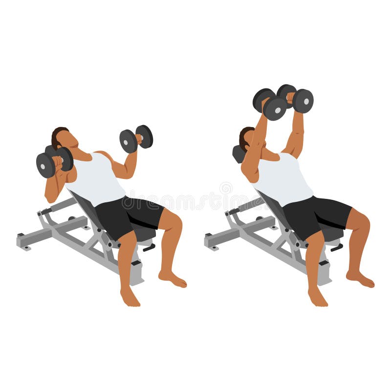 Incline Dumbbell Chest Press Stock Illustrations 40 Incline