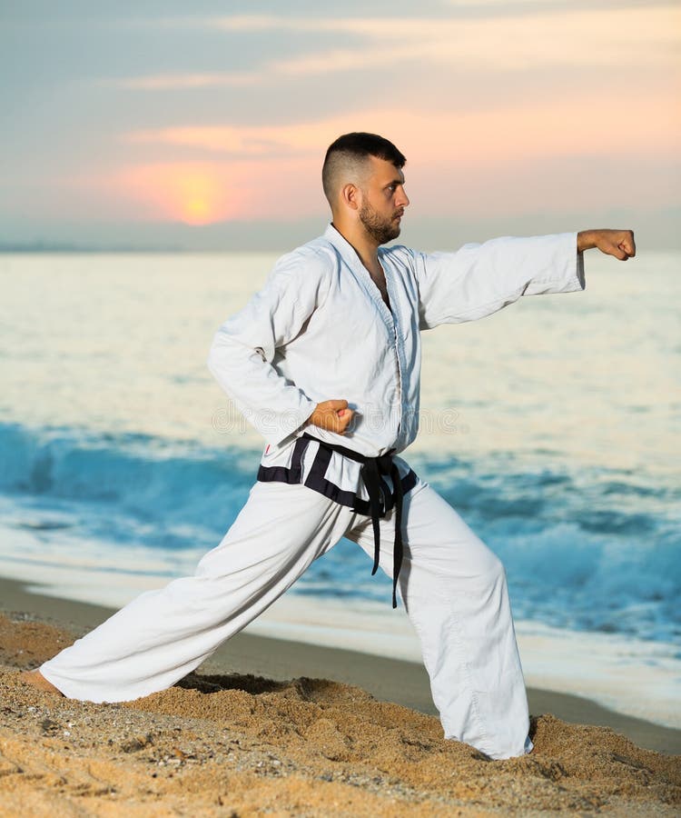 Man doing karate poses stock photo. Image of people 198208468