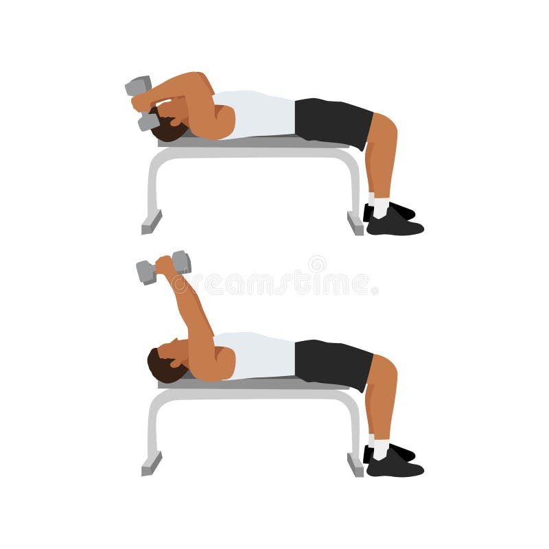 Lying Dumbbell Tricep Extensions Stock Illustrations – 12 Lying