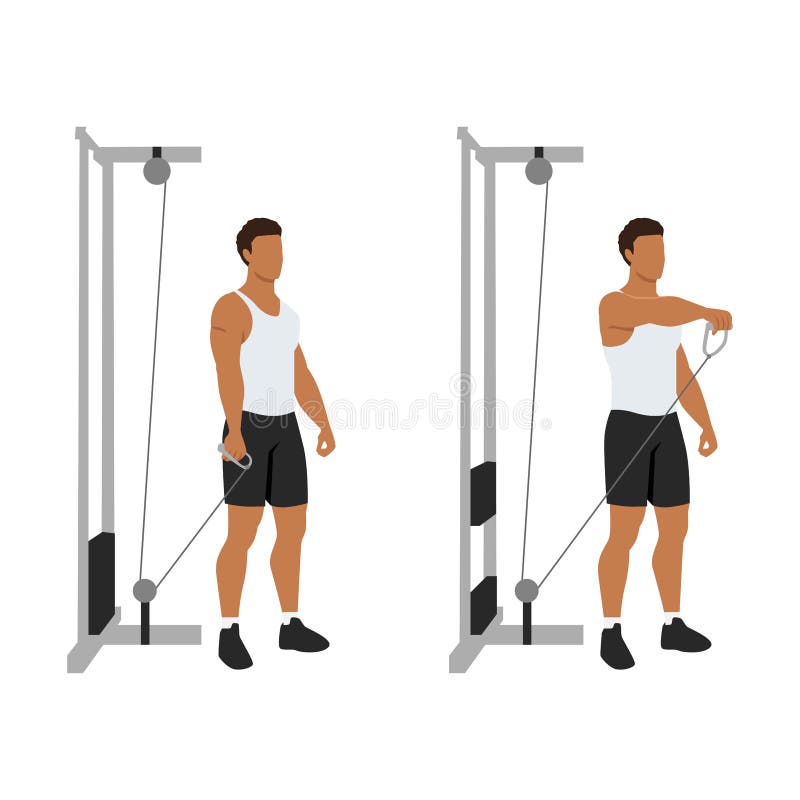 Shoulder Front Raise Stock Illustrations 42 Shoulder Front Raise