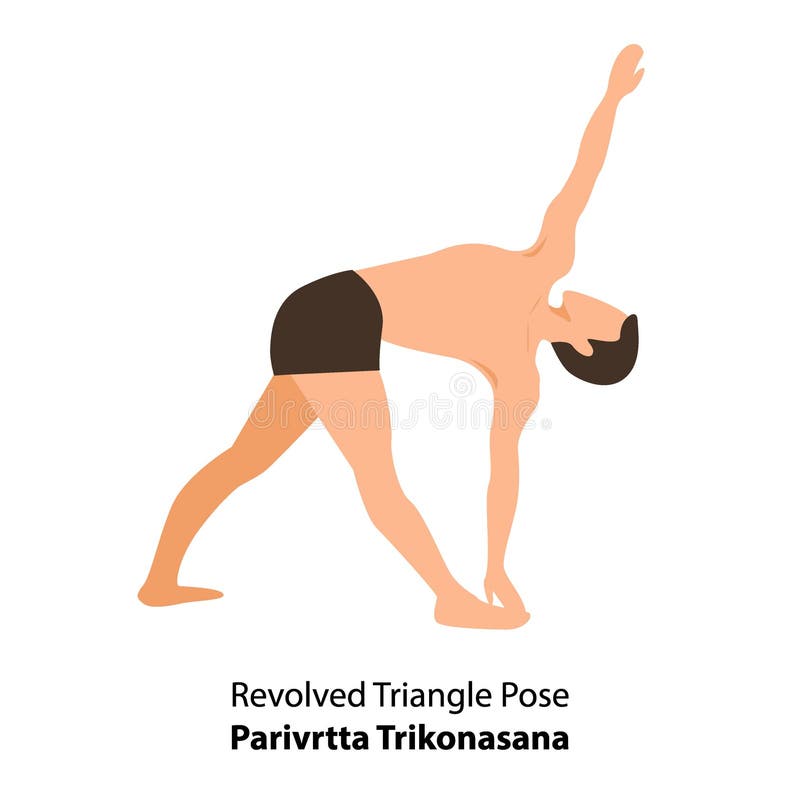 Revolved Triangle Pose Parivrtta Trikonasana Vector Stock Vector Illustration Of Meditation Balance 215378933