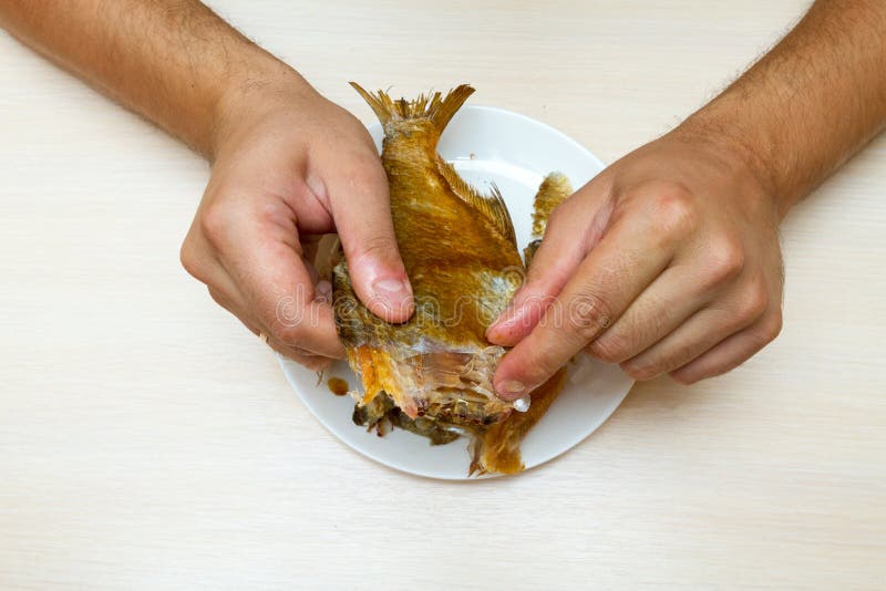 The man eats dried fish. stock photo. Image of treat 96698196