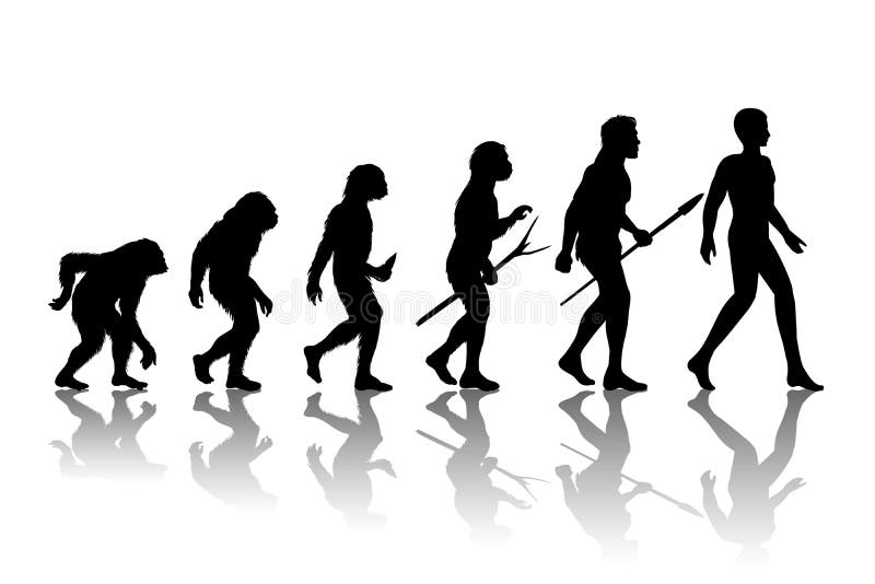 Man evolution