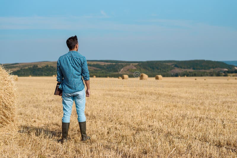 Человек смотрит в поле. Фермер в поле. Агроном в поле. Люди стоящие в поле. Фермер в поле спиной.