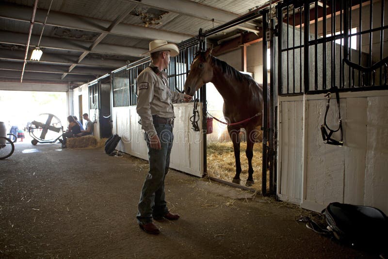 Man feeding a horse, Calgary