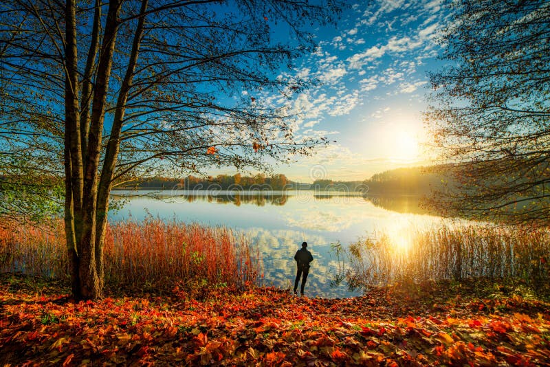 Uomo declino alba, foresta un bellissimo scenico declino natura.